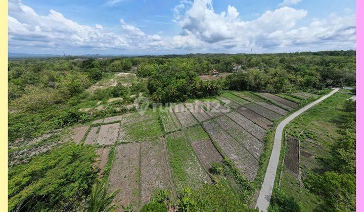 Tanah Murah Prospek Villa pun Resto Dekat Pasar Balecatur Jogja 2