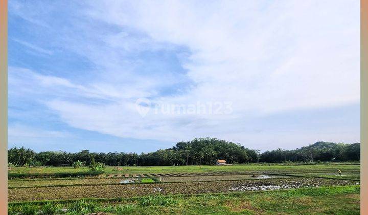 Tanah View Sawah Siap AJB 7 Menit Bandara YIA Jogja 2