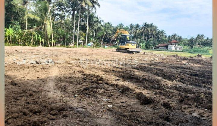 Tanah View Sawah Siap AJB 7 Menit Bandara YIA Jogja 2