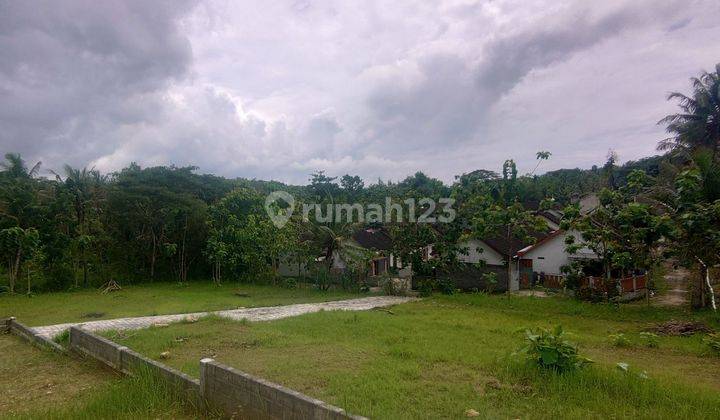 Tanah Siap Bangun Dekat Polres Kulon Progo, Akses Lebar 1