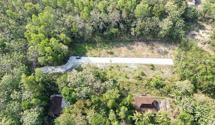 Tanah Jogja Barat Dekat SPBU Ngramang Wates: Siap AJB 2