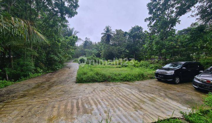 Tanah Siap Bangun Selatan Samsat Kulon Progo, Jogja 2