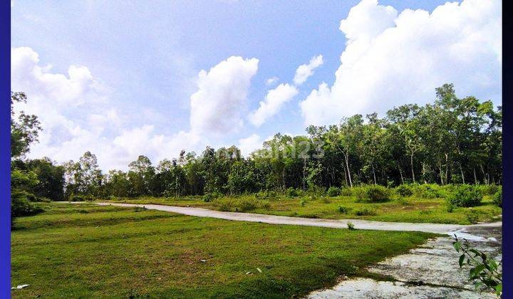 Tanah Panjatan Kulon Progo Dekat SMA N 2 Wates, Siap AJB 1