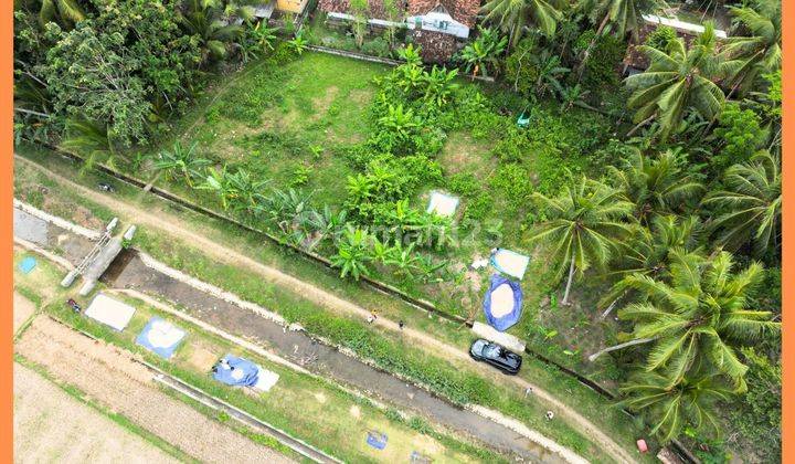 Tanah Jogja Barat View Sawah Kawasan Bandara YIA Temon 1