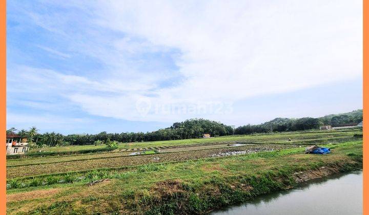 Tanah Jogja Barat View Sawah Kawasan Bandara YIA Temon 2