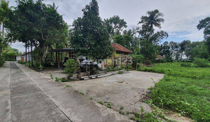 Tanah Kulon Progo Dekat Pasar Bendungan, Siap Transaksi 2