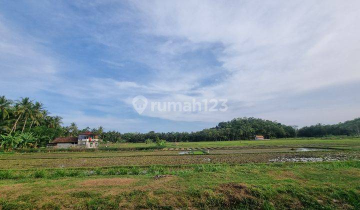 Tanah View Sawah di Temon Jogja, Siap Transaksi Notaris 1