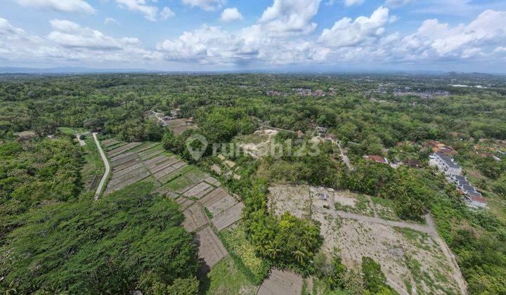 Tanah SHM di Sedayu Jogja Cocok Villa resto perumahan 2