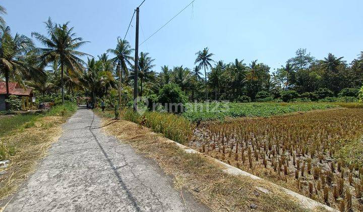 3 Menit Kampus Uad Wates, Tanah Tawangsari Akses Lebar 2