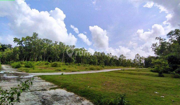 Tanah Murah di Kulon Progo, 6 Menit Jl Wates, Siap Ajb SHM P 2