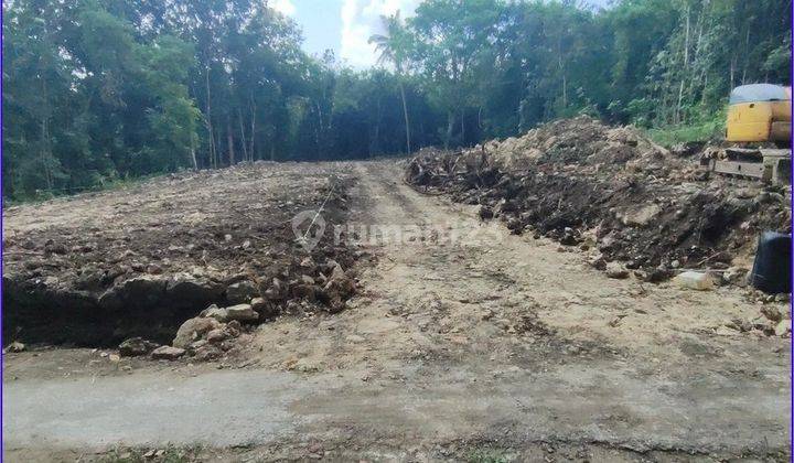 Dekat Kampus Mercubuana, Jual Tanah Bantul di Sedayu 100 Jtan 2