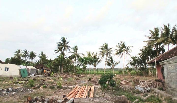 Tanah Murah di Kulon Progo, 5 Menit Ke Terminal Wates  1