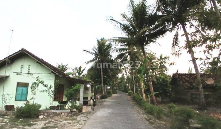 Tanah Murah di Kulon Progo, 5 Menit Ke Terminal Wates  2