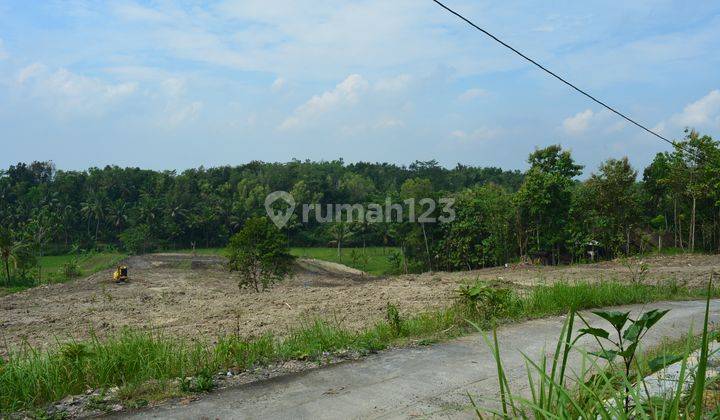 Tanah Kulon Progo, 100 jutaan, Cocok Untuk Hunian atau Villa 1