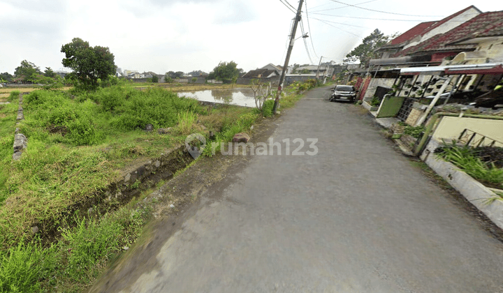 Tanah Utara Hyatt Sleman, Cocok Untuk Homestay 2