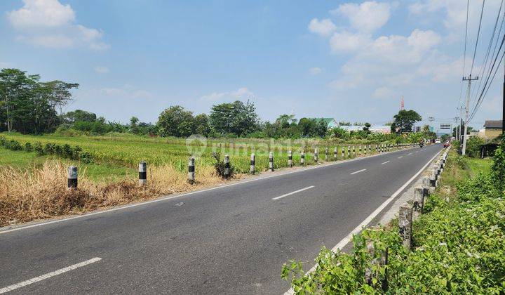 Tanah Tepi Jln. Sidokarto Godean, Cocok Untuk Hunian/Investasi  1