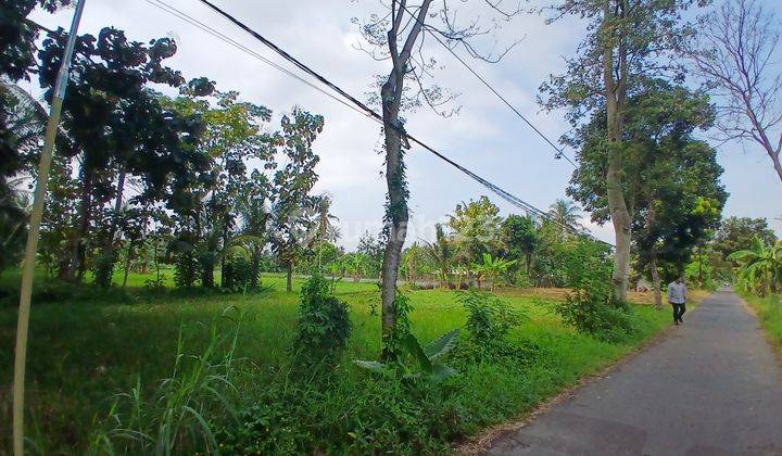 Tanah Dijual Timur Perempatan Balong, Jln. Palagan 1