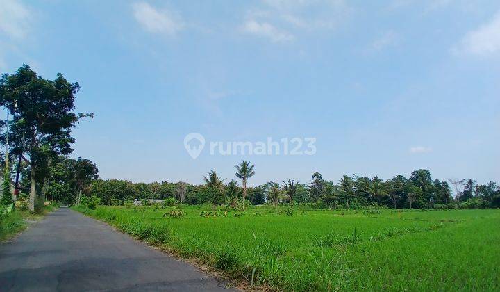 Tanah Sleman Dijual, Barat Kampus UII Jogja 1