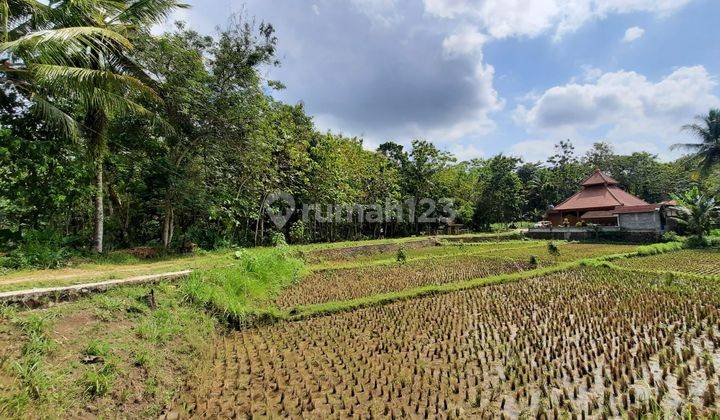 Tanah Sentolo Kulon Progo, 1 Jutaan, Cocok Untuk Kosan  2