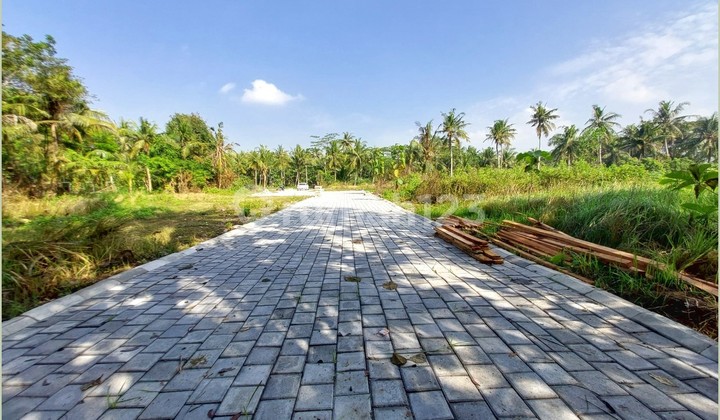 5 menit Bandara YIA, Tanah sangat murah mangku jalan aspal 