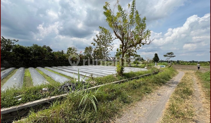 Dekat Kampus UII kaliurang Kavling Tanah murah Dekat Kampus UII kaliurang Kavling Tanah murah