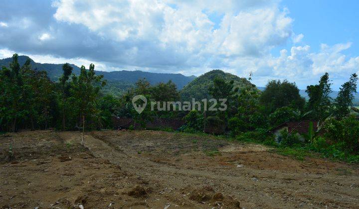 Tanah Ideal Untuk Investasi di Kulon Progo, Lingkungan Asri 1