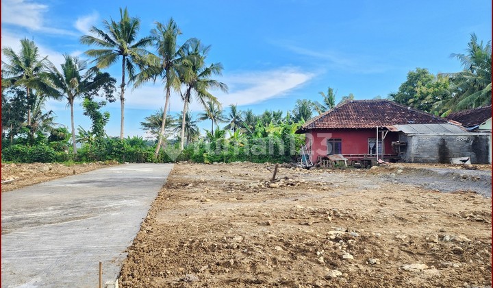 tanah asri di kulon progo dijual murah cocok untukinvestasi tanah asri di kulon progo dijual murah cocok untukinvestasi