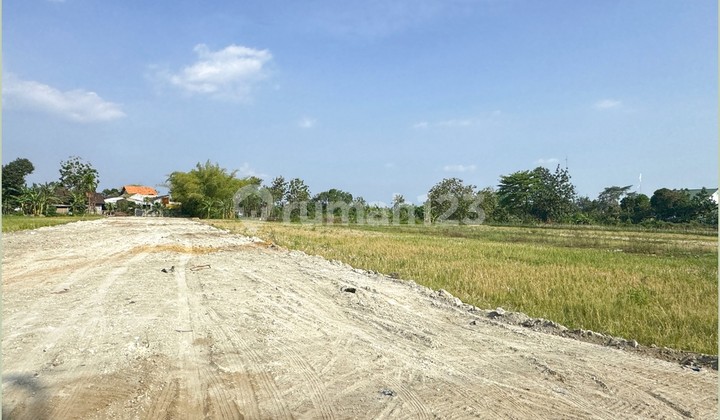 dekat sma 1 godean kavling tanah murah dijual dekat sma 1 godean kavling tanah murah dijual