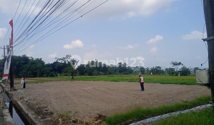 dekat kampus unriyo tanah murah mangku jalan dekat kampus unriyo tanah murah mangku jalan