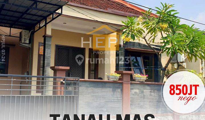 DIJUAL RUMAH MURAH DI TANAH MAS SIAP HUNI 1