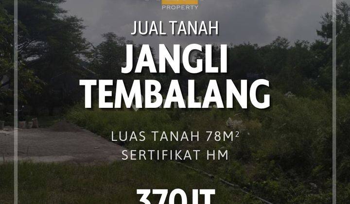 DIJUAL TANAH MURAH DI JANGLI SEMARANG 1