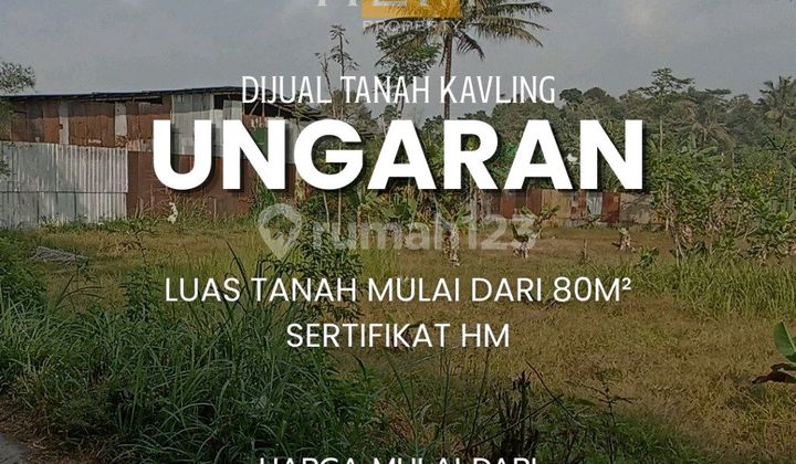 Land Plot For Sale Located In Ungaran: Bener, Tengaran, Semarang Regency. 1