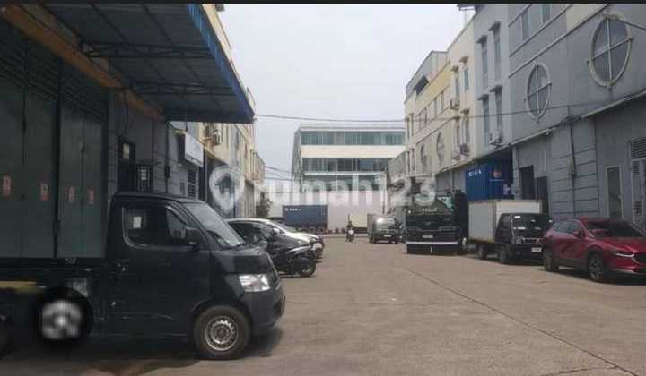 Dijual Gudang Elang Laut - Pik