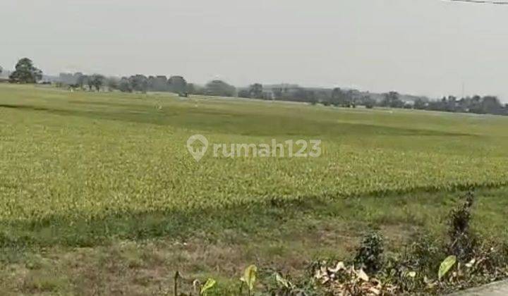 DIJUAL TANAH CIKANDE RANGKAS BITUNG JALAN RAYA BANTEN 2