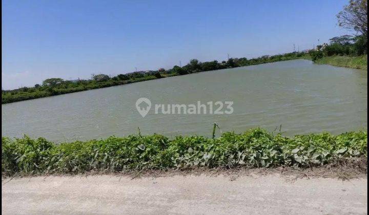 Tanah Luas Lokasi Strategis di Dusun Sumber Langgeng, Sumber Rejo, Pakal, Surabaya 1