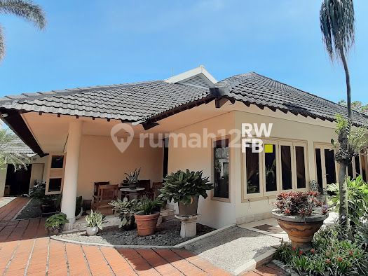 Rumah Nyaman Nan Asri dengan Halaman Luas di Puri Mutiara Cipete 2