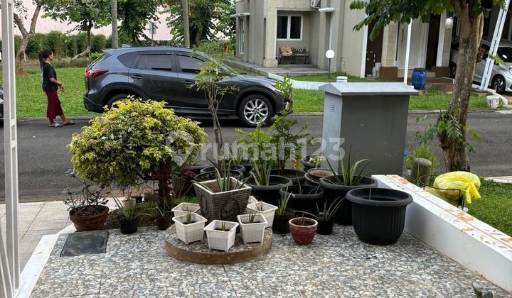 Good South-facing house in Village Monaco.