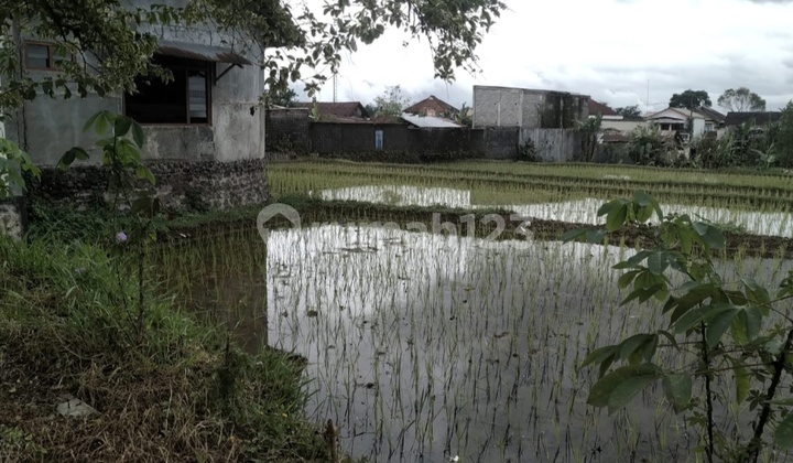 Land on the Edge of Wonobungkah Street Near Wonosobo Town Square Land on the Edge of Wonobungkah Street Near Wonosobo Town Square