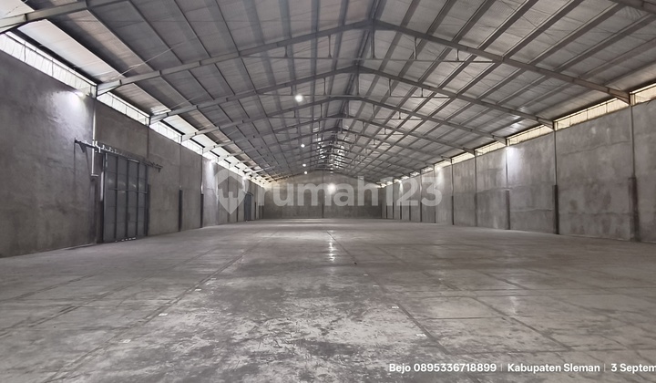 Large Scale Warehouse for Rent in Sleman Ready to Use