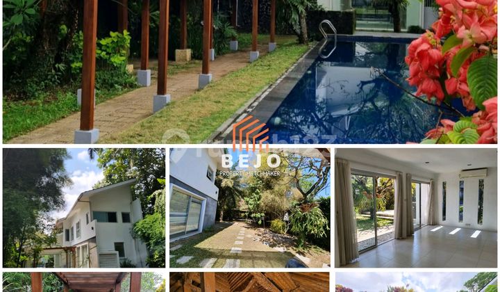 Luxury Serene House for Sale with Swimming Pool, Suitable for Homestay 1