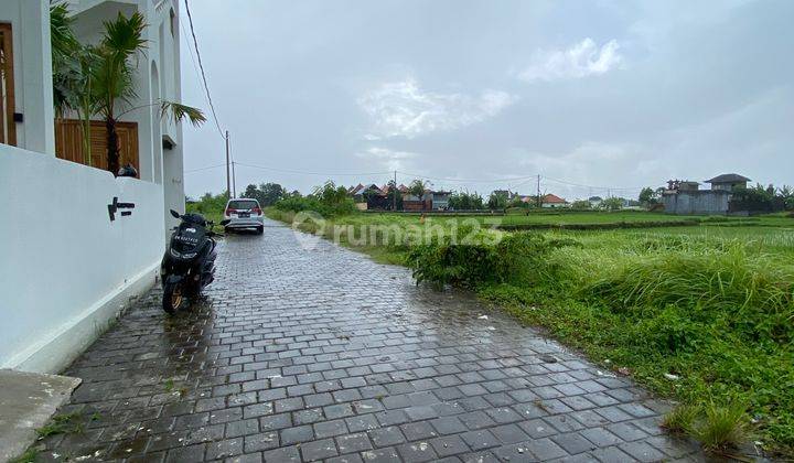 Dijual Tanah Buc Itr Kuning View Sawah 2