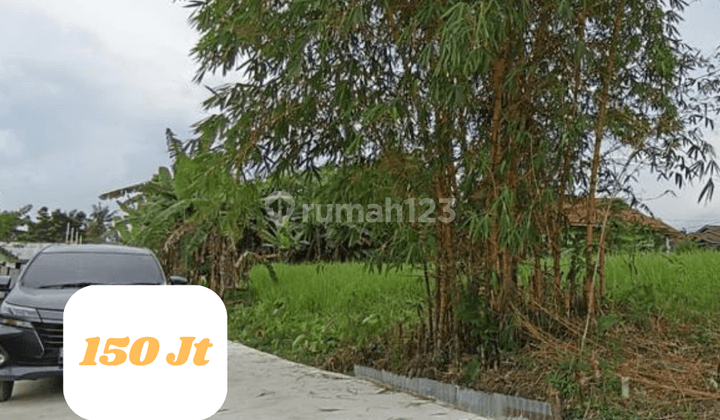 Tanah Dijual Rambutan Iii, Profit 30 , 4 Menit Ke Sdn 42. 1