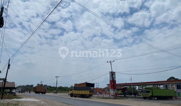 Tanah Kavling Area Kubang, 100 Meter Ke Jl Raya 2