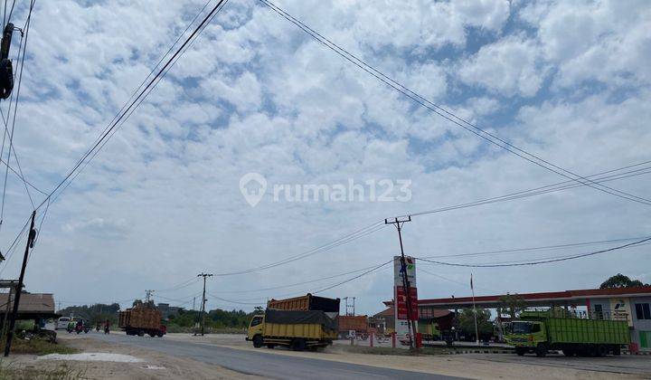 Kavling Murah Area Kubang Pekanbaru, 50 Meter Dari Jalan Raya 1