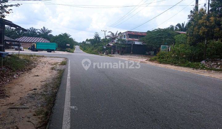 Termurah Garuda Sakti, Ramai Pemukiman 5 Menit Ke Smk Amal Ikhlas. 2