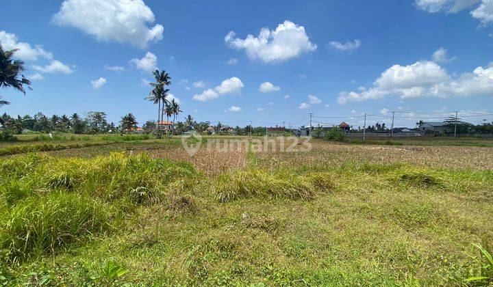 Exclusive Plot of Land with Rice Field View, Hunting, Blah Batuh, Gianyar, Ubud 2