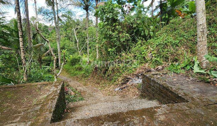 Tanah View Sungai Lembah, location in Payangan, clan, Tabanan. 2