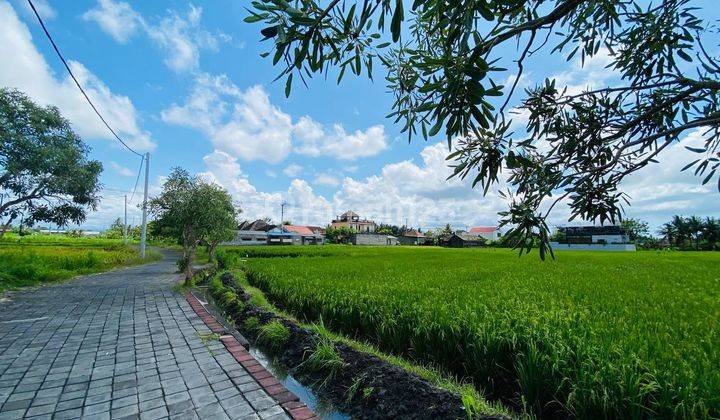 Tanah Kavling Ekslusive Ekonomis Harga Hanya 200 Jutaan/are Dengan Lingkungan Asri View Sawah 360° Di Pering, Blahbatuh, Gianyar Sangat Cocok Untuk Tempat Tinggal & Investasi.lokasi Strategis1. Ke Jl. Bypass Ib Mantra 7 Mnt. 2. Ke Pantai Pering 9 Mnt. 3.  1