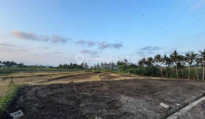 Land For Sale !!tanah Kavling Ekslusive Harga Ekonomis View Sawah Di Jalan Pantai Yeh Gangga Gubug, Tabanan 1