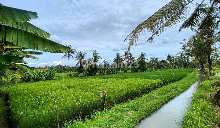 Dijual Tanah Murah Dekat Patai Kedungu Dan Tanah Lot Dan Canggu 1